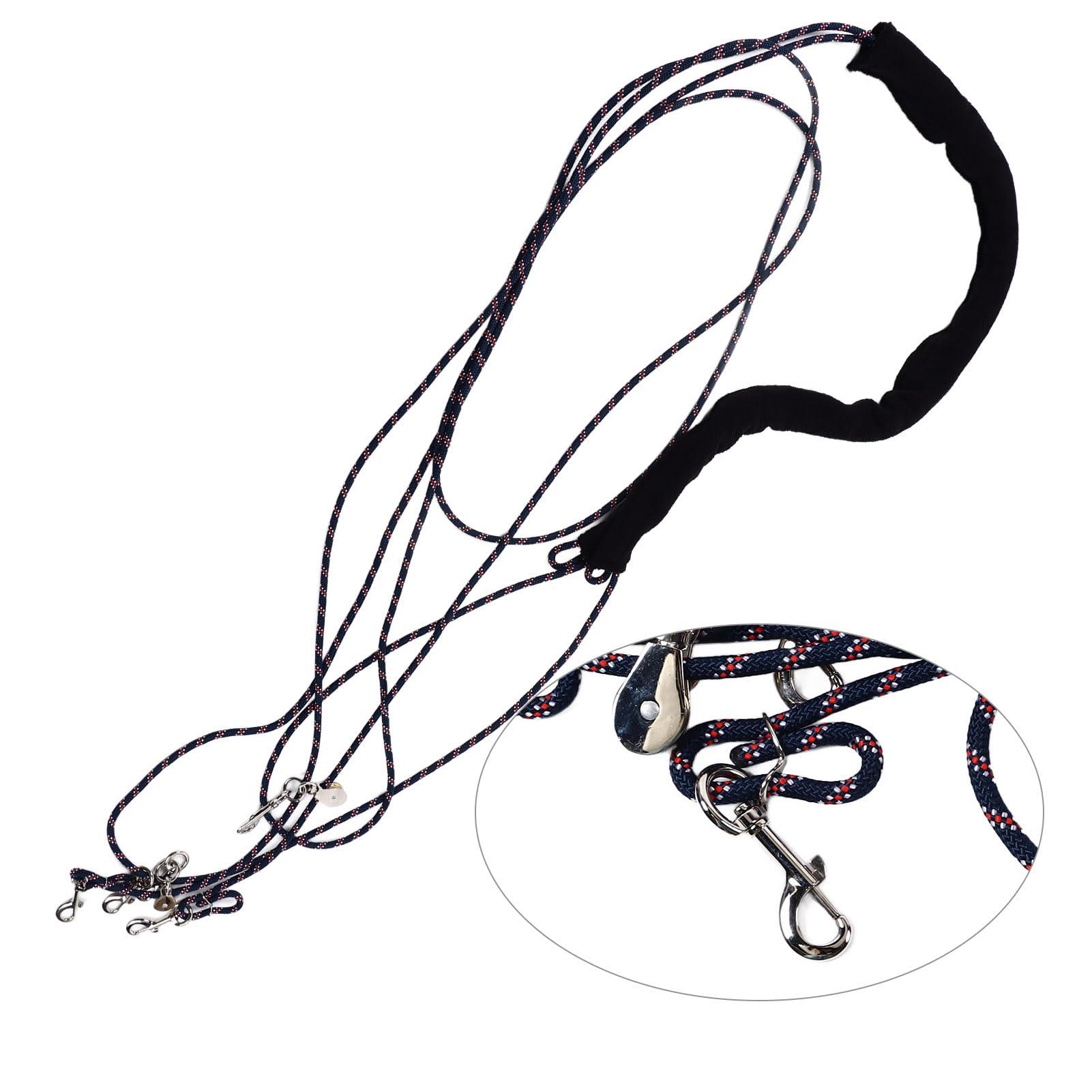 Yunir Lunge Equipment for Horse, Adjustable Horse Training and Lunging Aid, Professional Level Support and, Choose for Training Horse (Black)