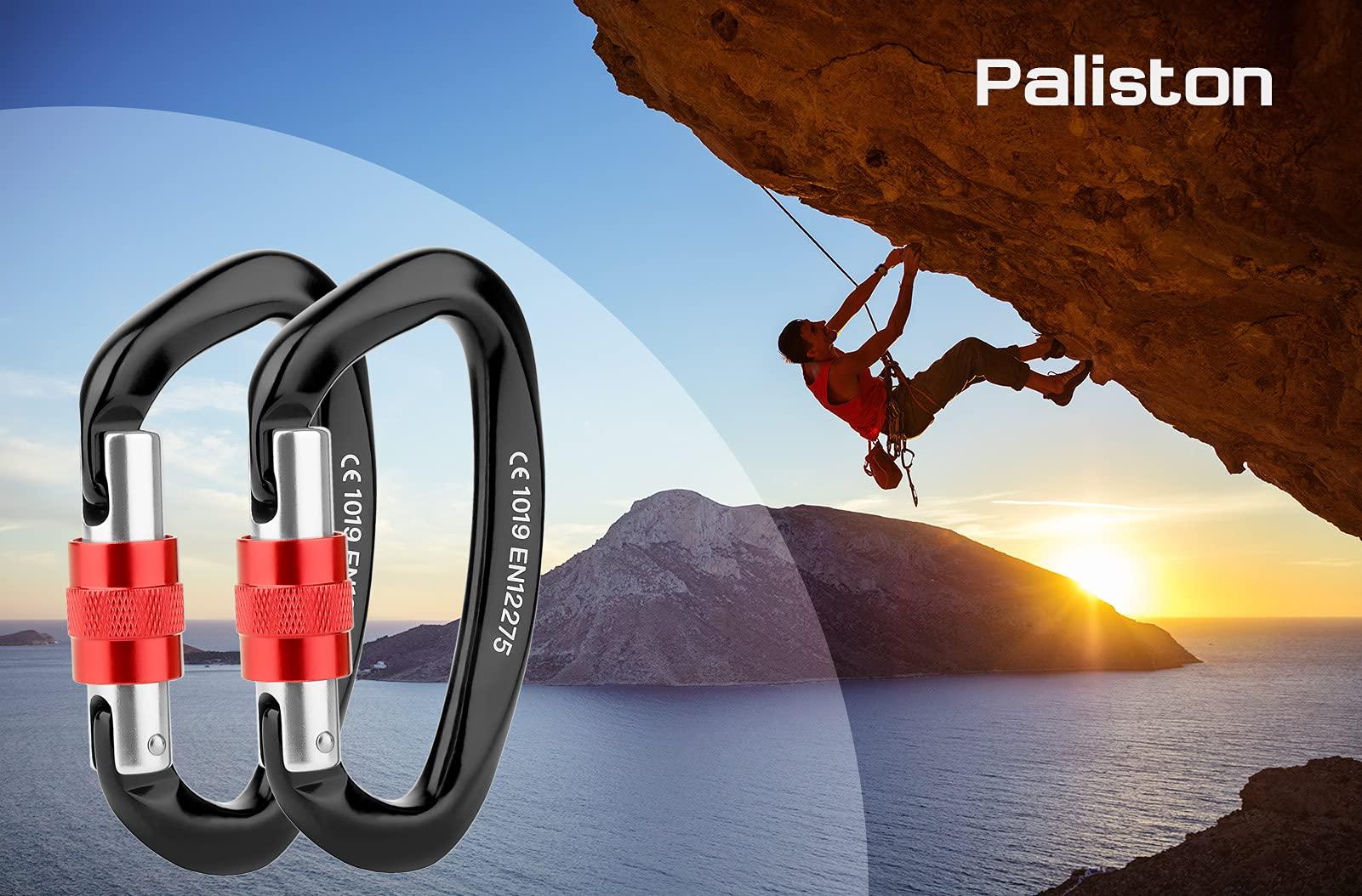 Paliston Locking Carabiner - 25kN 5600lb Climbing Carabiner Screw Gate D Shape Carabiner Black (Pack of 2)
