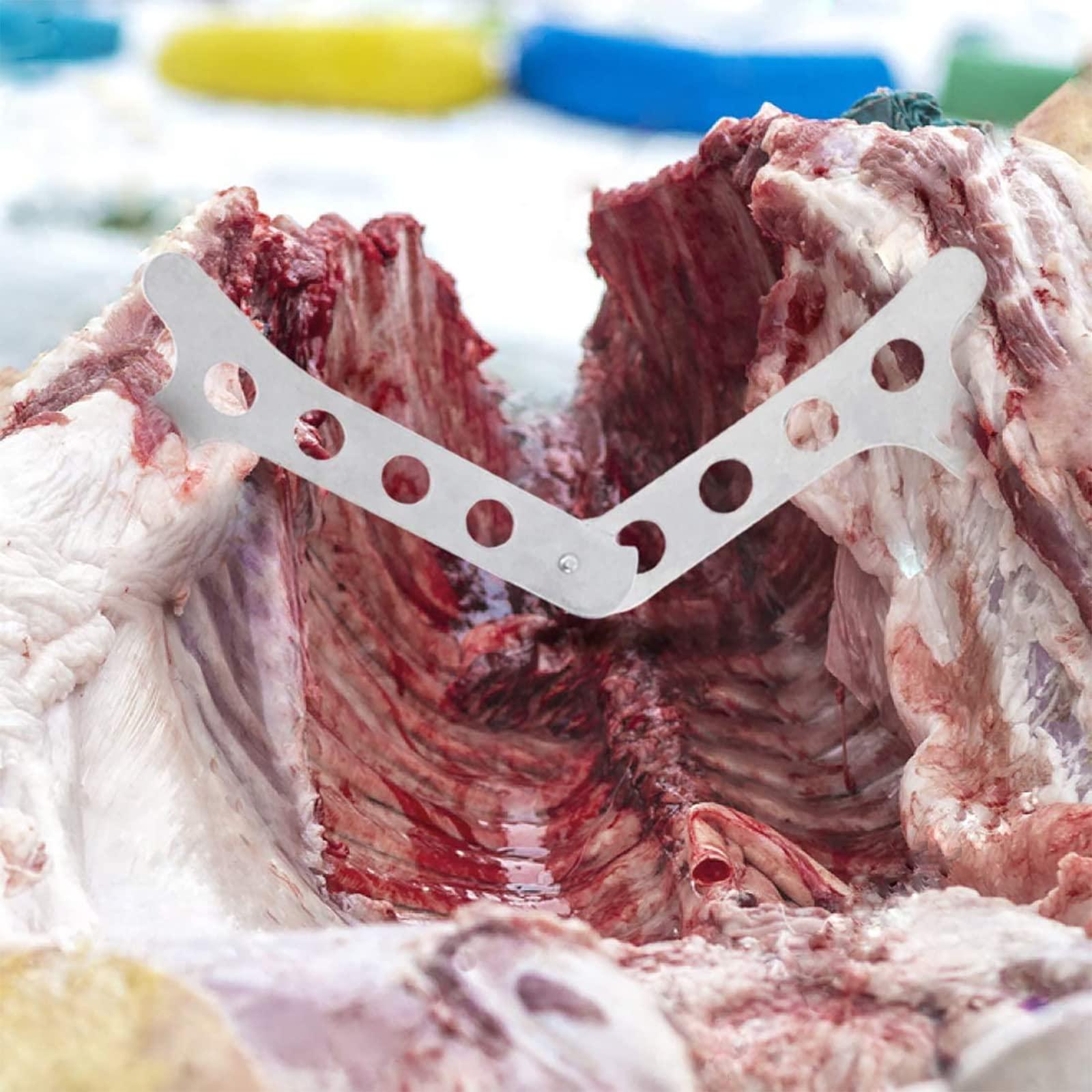 FLISSA Flissa Hunting Field Dressing Kit, 10 Piece Hunting Knife Set with Skinning Knife, Butcher Game Processing Kit with Portable Storage Case for Deer, Meat Processing, Fishing, Camping, Survival (Green)