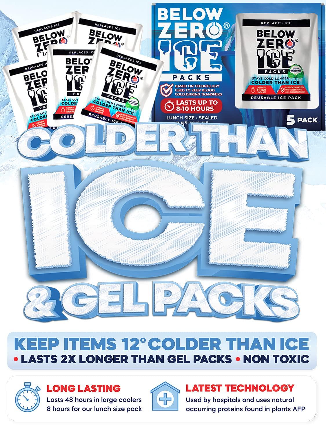 Below Zero Below Zero Prefilled Reusable Ice Packs for Coolers | Long Lasting Freezer Ice Blocks for Camping, Lunch Bags & More | 48 Hour Cooler Ice Pack Technology | Small 7.5x6.5 (5-Pack)