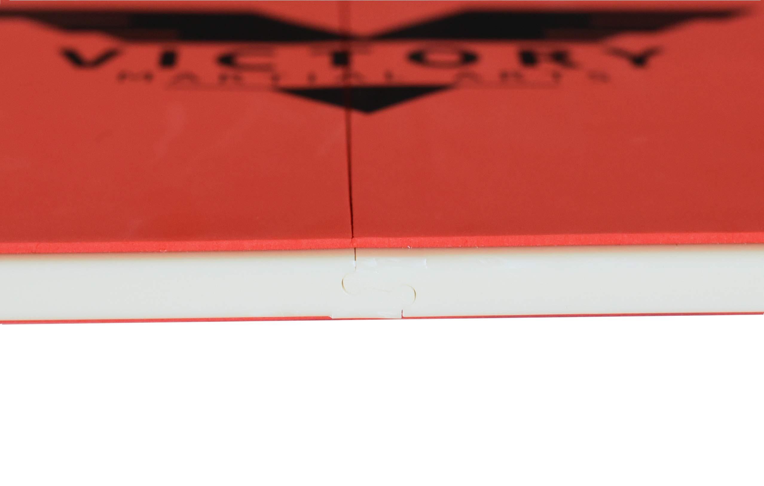 Victory Martial Arts Rebreakable Boards Martial Arts - Taekwondo Karate Boards for Breaking