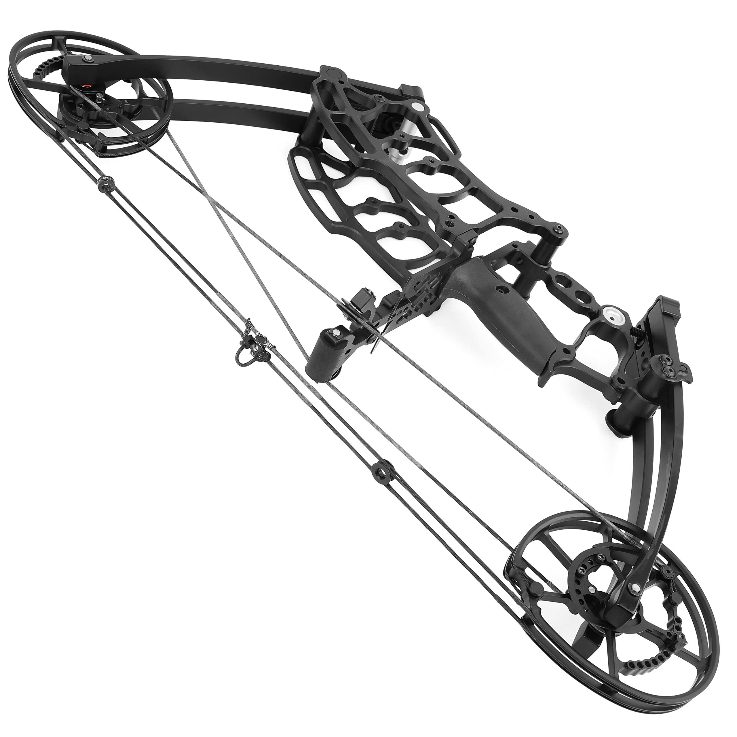 limaity Archery Steel Ball Dual-Purpose Compound Bow 40-65lbs Car Hunting Bow Fishing Steel Ball Bow Suitable for Adults and Youth Beginner Archers Both Left and Right Handed (Bow KIT)