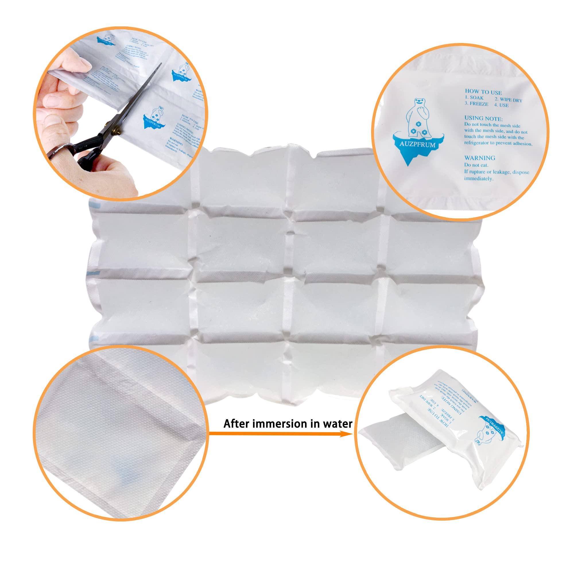 TarppedRock TarppedRock Dry Ice Packs for Shipping Frozen Food, 10 Sheets Reusable Cold Ice Packs for Coolers, Lunch Bag, Flexible Long-Lasting Ice Blanket Sheets