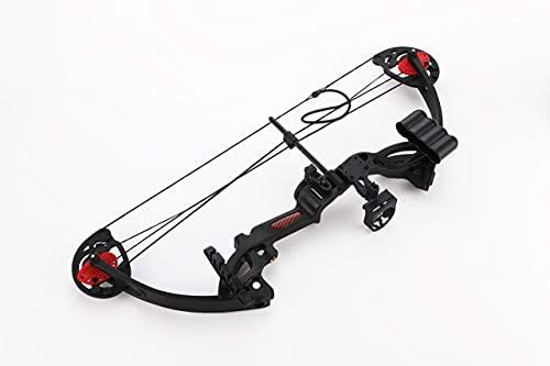 PANDARUS PANDARUS Compound Bow Archery for Youth and Beginner, Right Handed,19-28 Draw Length,15-29 Lbs Draw Weight, 260 fps (Black Right Handed)