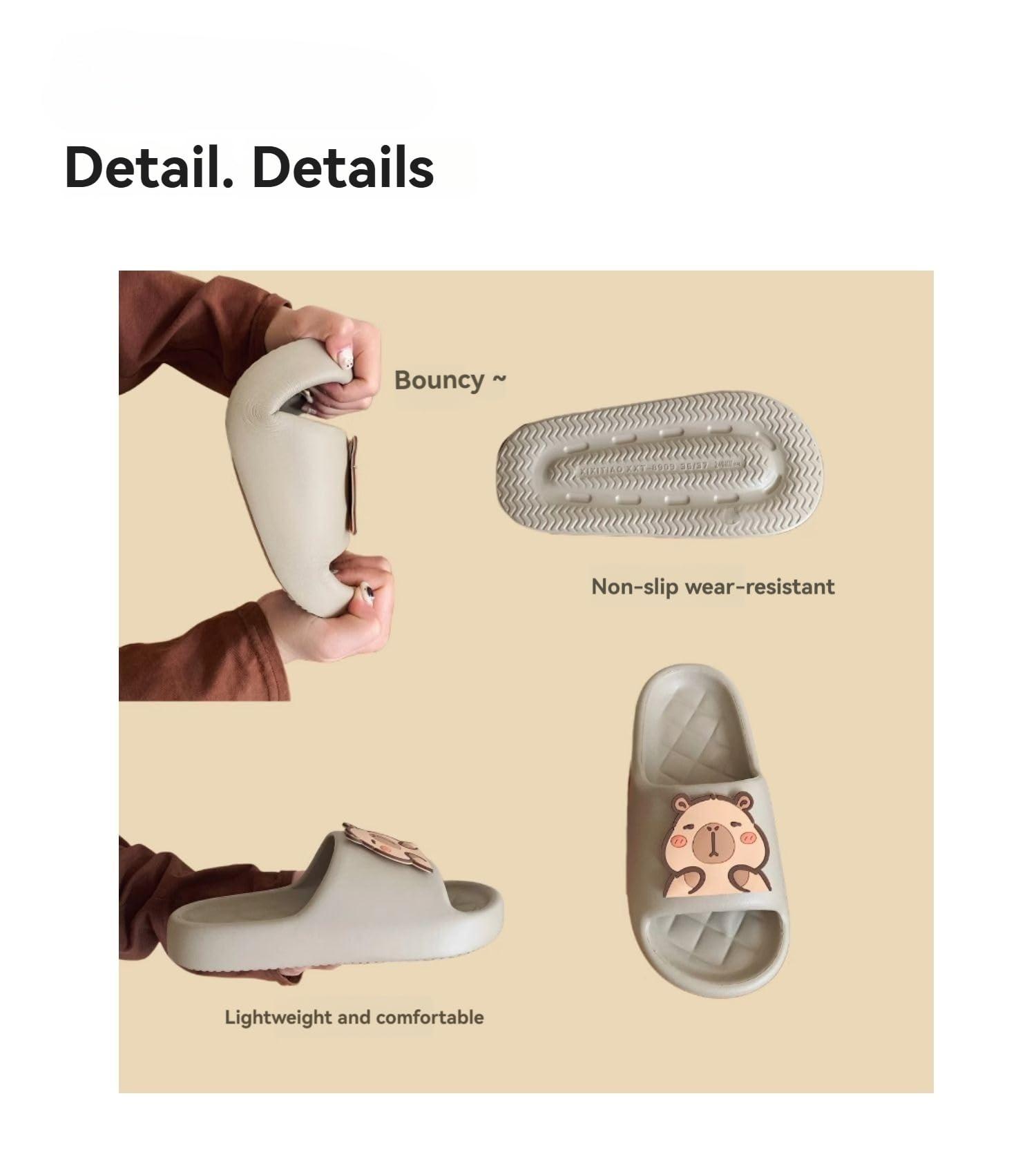 Wenray Cute Animal Capybara Slippers Womens Sandals Cloud Funny Slippers House Shoes Shower Shoes Indoor Outdoor (Brown,5.5)