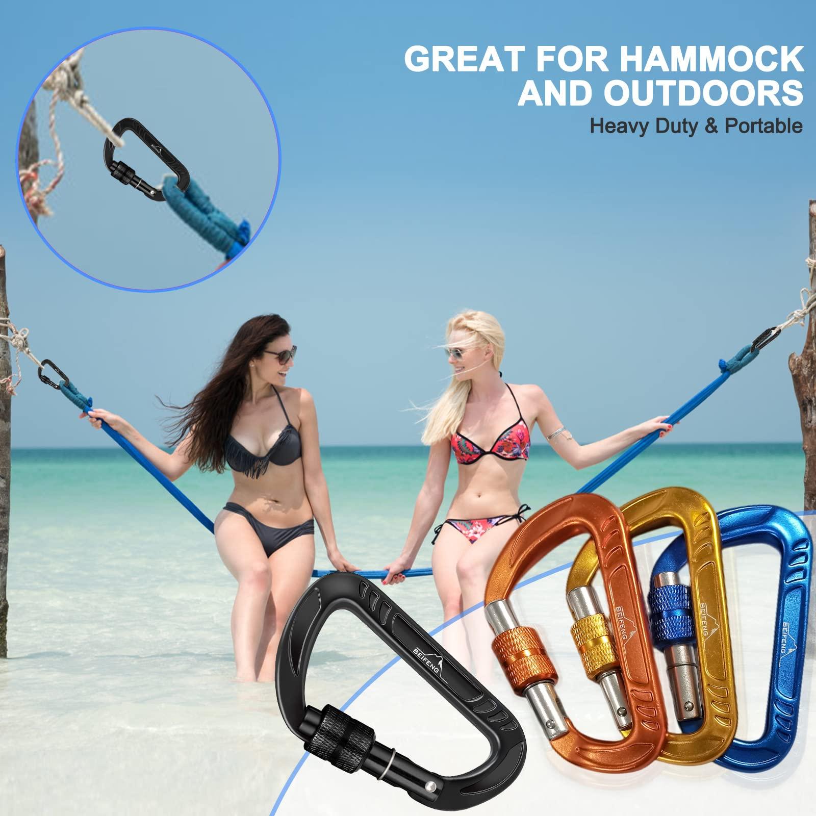 BEIFENG BEIFENG Heavy Duty Lightweight Locking Carabiner Clips D Ring for Camping Hiking Outdoor Gym etc, Carabiner with Lock Small Carabiners for Dog Leash & Harness (Screw Locking 4Pcs)