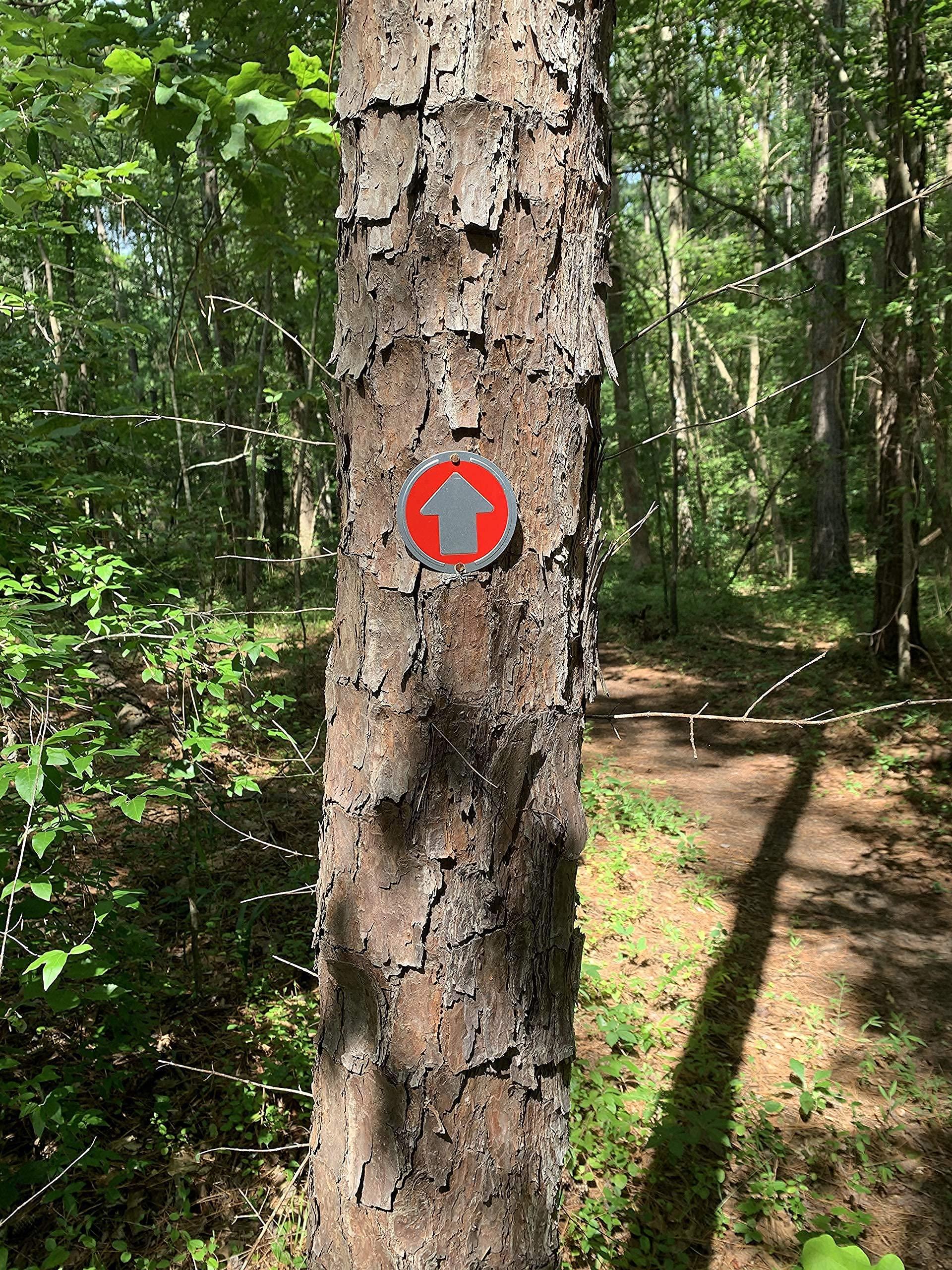 Wild Drifter Wild Drifter Trail Markers - Bright Reflective Trail Marker Pack of 24, Easy to Mount, Mark Your Trees for Hunting, Hiking, Camping, and More. (Red, 24)