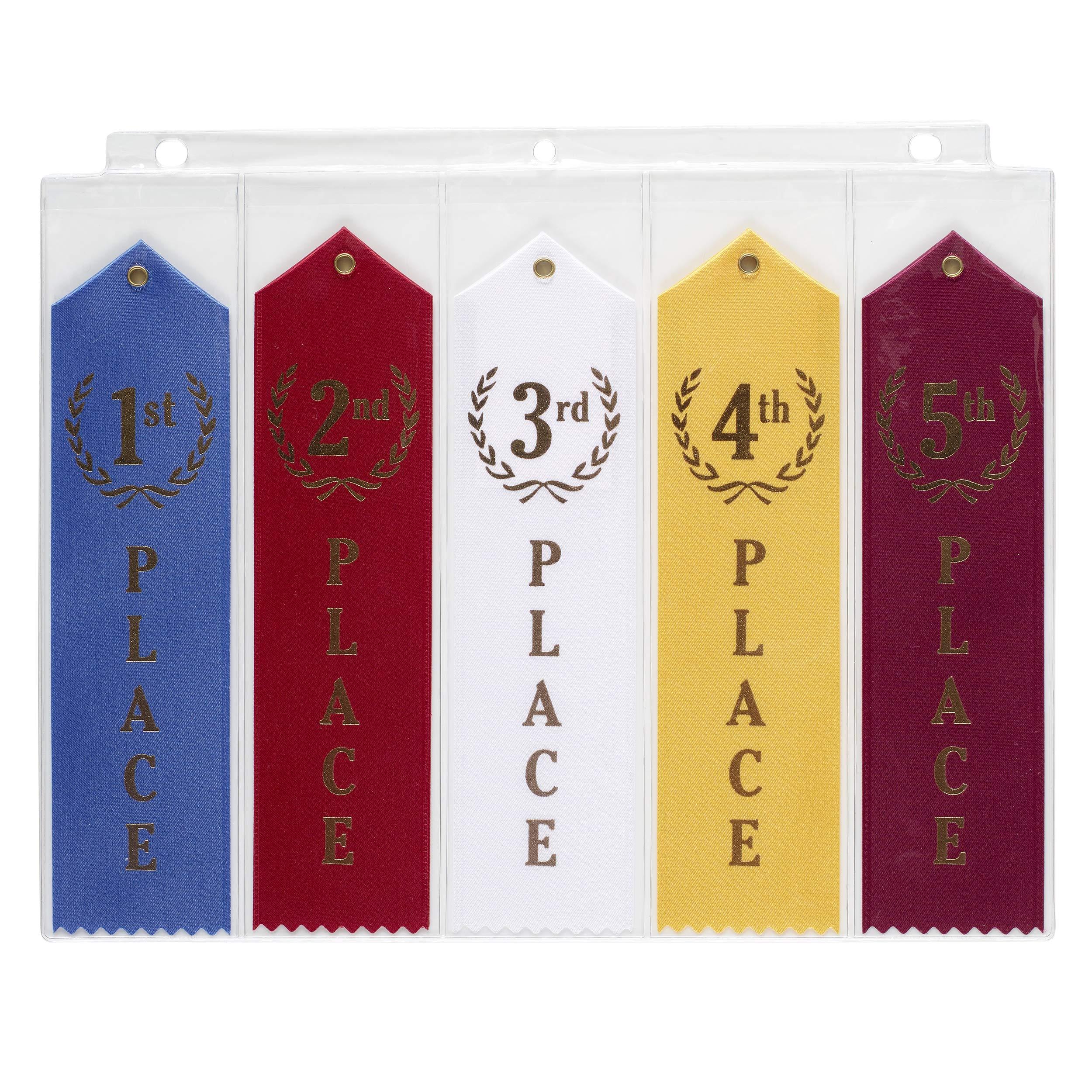 Mercurydean 10 Swimming Ribbons Organizer Holder Display Storage Gymnastics Track Award Ribbon Strong Clear Robust Binder Pages Sheets - Mercurydean USA