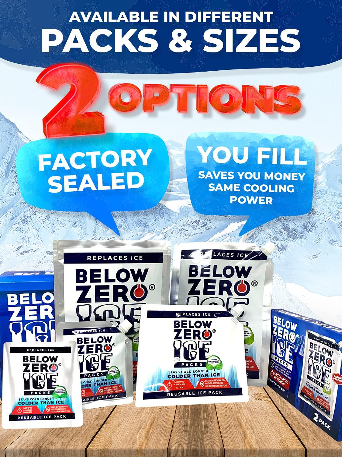 Below Zero Below Zero Prefilled Reusable Ice Packs for Coolers | Long Lasting Freezer Ice Blocks for Camping, Lunch Bags & More | 48 Hour Cooler Ice Pack Technology | Small 7.5x6.5 (5-Pack)