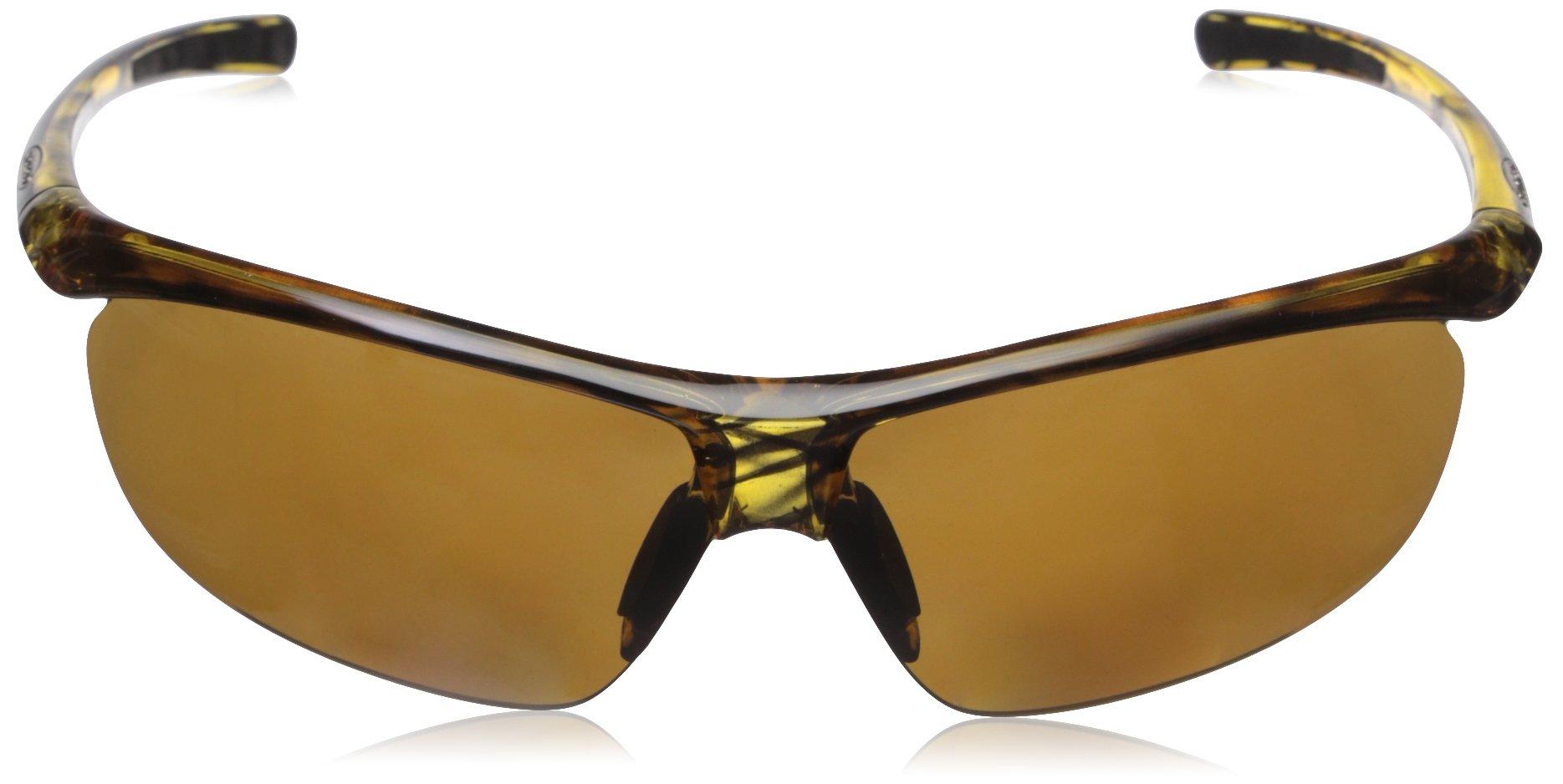 Suncloud Suncloud Zephyr Polarized Reader Sunglasses