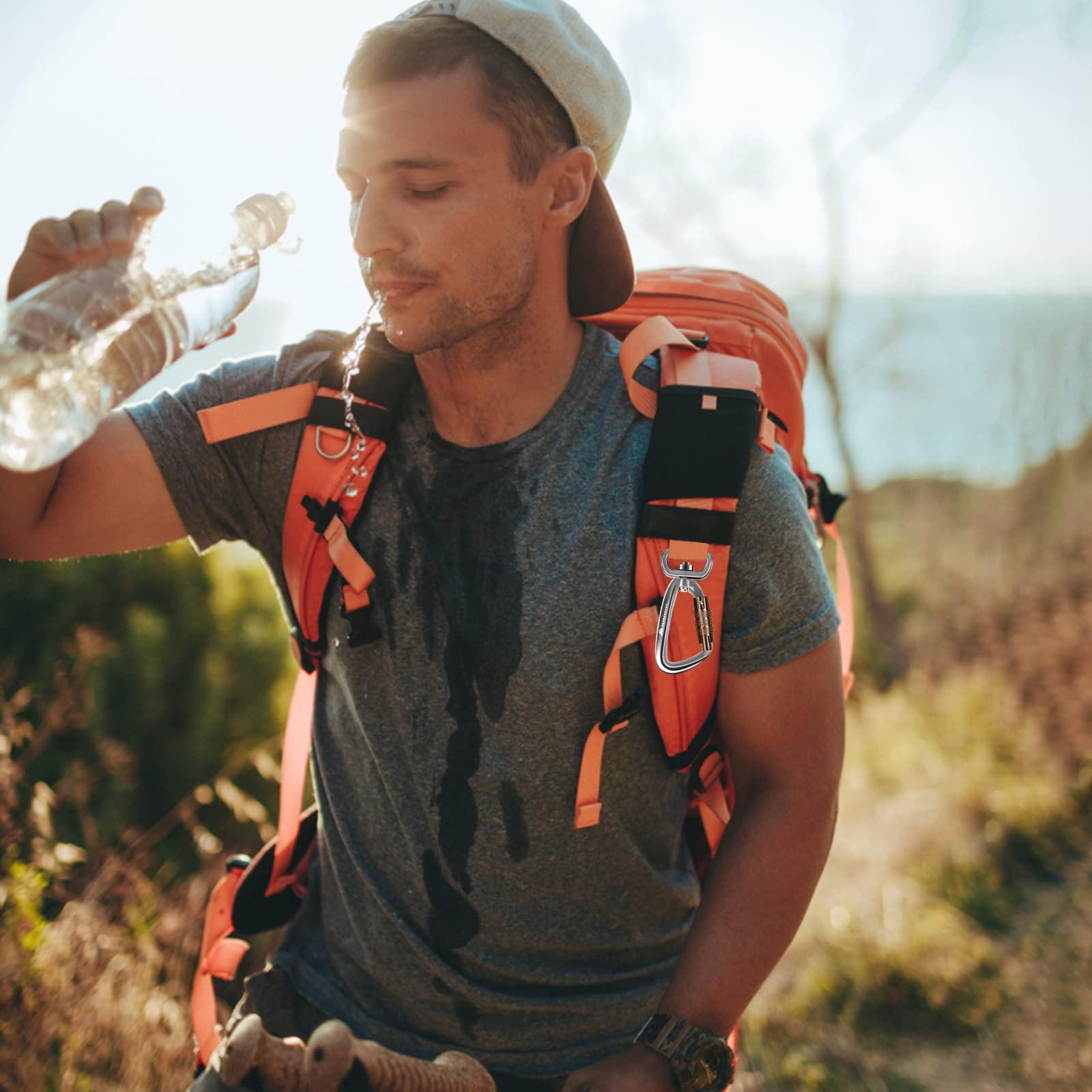 PANDENGZHE PANDENGZHE 2 Pack Locking Carabiner Clip 2.5" with Swivel Ring for Securing Pets, Dog Leash Harness, Camping, Hiking, Keychains