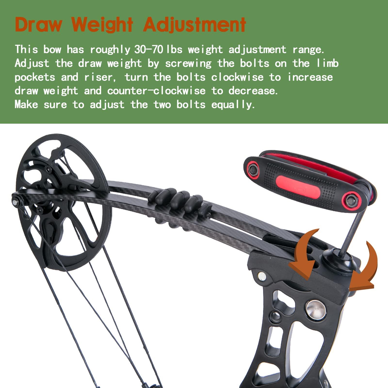 WUXLISTY WUXLISTY Compound Bow and Arrow for Adult and Beginner, Hunting Bow Archery Set, Right Hand, 30-70 Lbs Draw Weight, 23.5-31 Draw Length, 5 Pins Bow Sight with Accessories, Black Pro