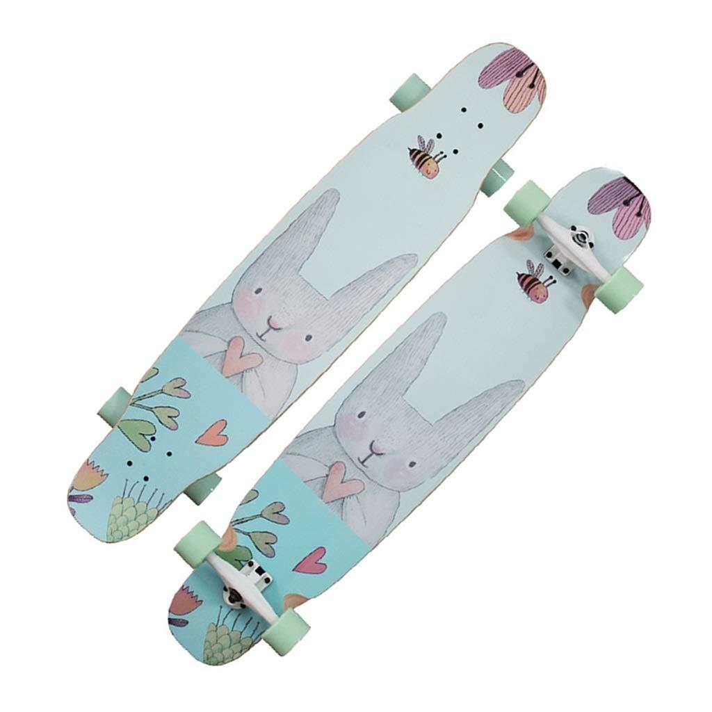 KHUY KHUY Skateboards 46 Inch Long Boards Skateboard for Cruising, Free Style, Downhill and Dancing, Longboard 9 Layer Maple Deck Cruiser for Teens Adults Beginners Girls Gifts (Color : Style E)
