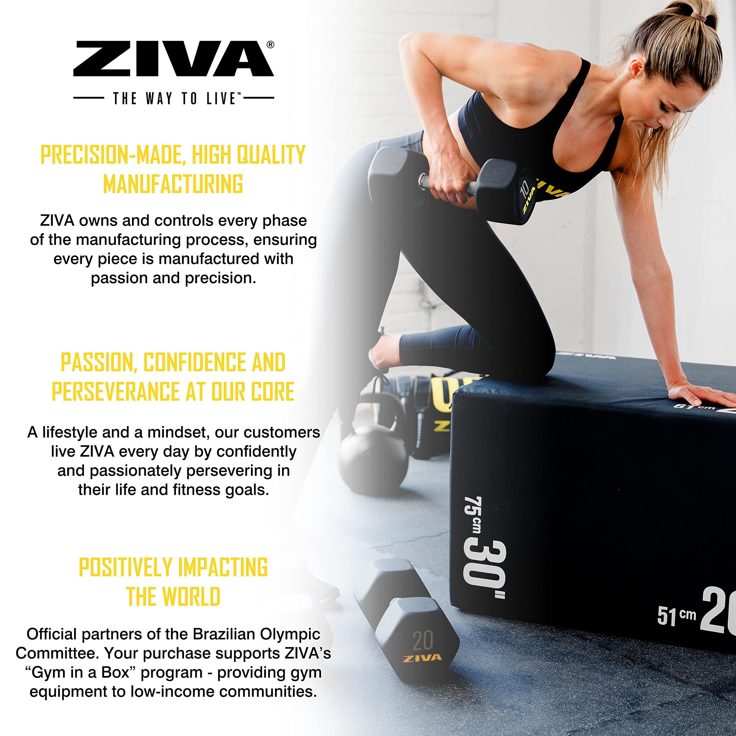 ZIVA ZIVA Performance RPU Hex Dumbbells Solid Steel Core, Premium Urethane Rubber Encasing, Corrosion Resistant - Commercial Grade for Rigorous Exercise, Strength Training - Pair of Two Dumbbell, 45 lb.