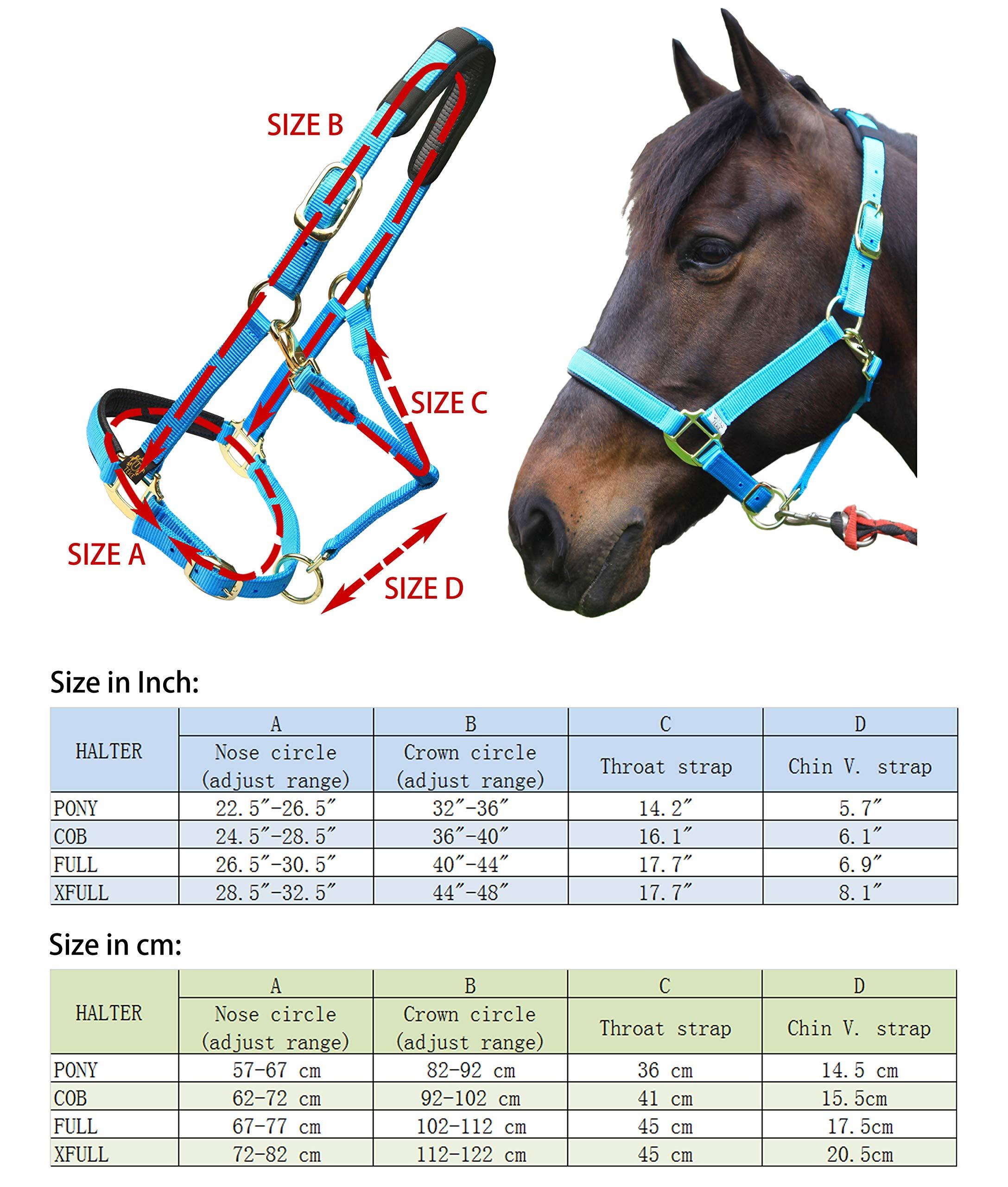 T TEKE T TEKE Adjustable Horse Halters by Heavy Duty Soft Nylon, Padded with Anti-rubbing Waffle Neoprene on Both Crown & Nose