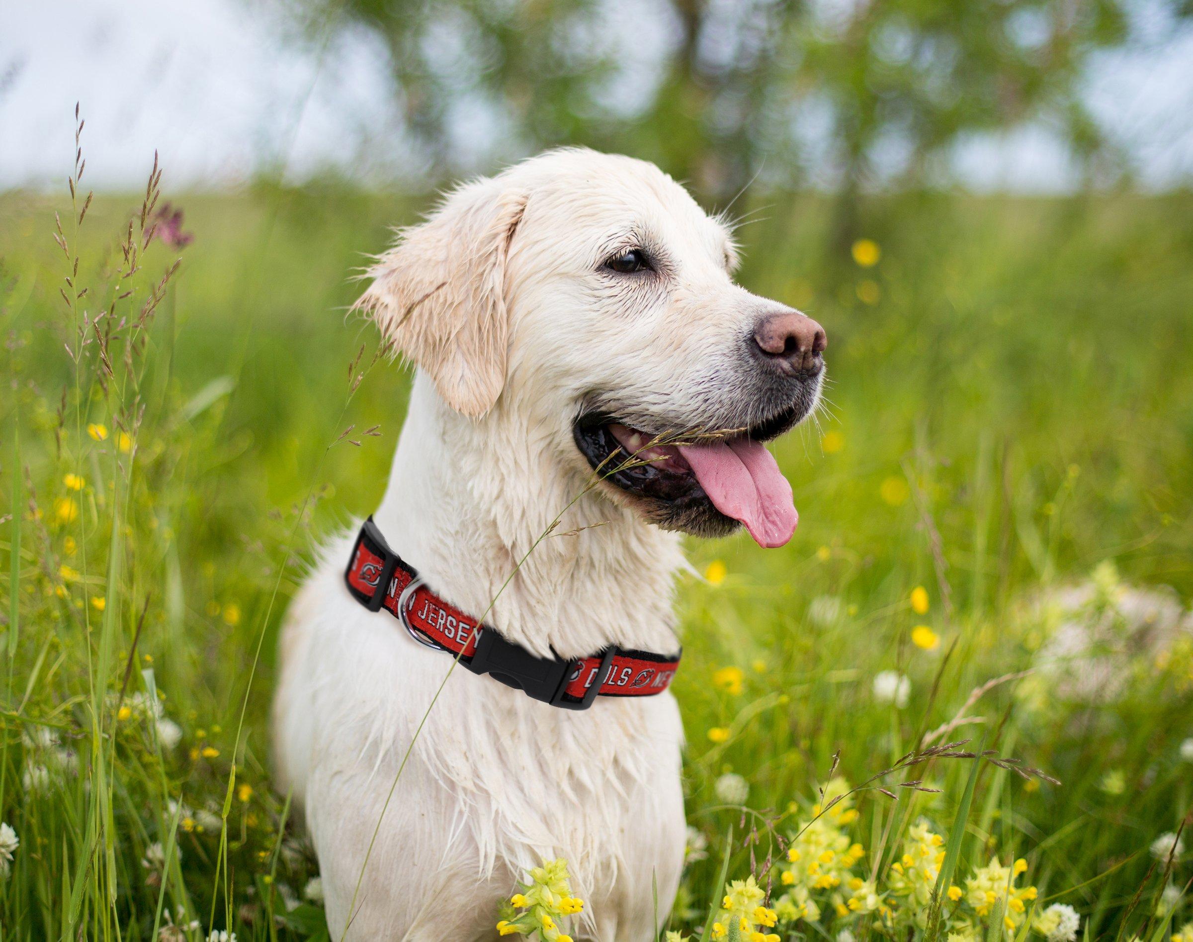 Pets First Pets First NHL Collar for Dogs & Cats. Adjustable, Cute, & Stylish! The Ultimate Hockey Fan Collar!
