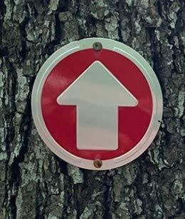 Wild Drifter Wild Drifter Trail Markers - Bright Reflective Trail Marker Pack of 24, Easy to Mount, Mark Your Trees for Hunting, Hiking, Camping, and More. (Red, 24)