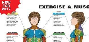 Fitnus Chart Series Fitnus Chart Series Exercise and Muscle Guide Female 2016 Copyright Algra Corporation (Multi)