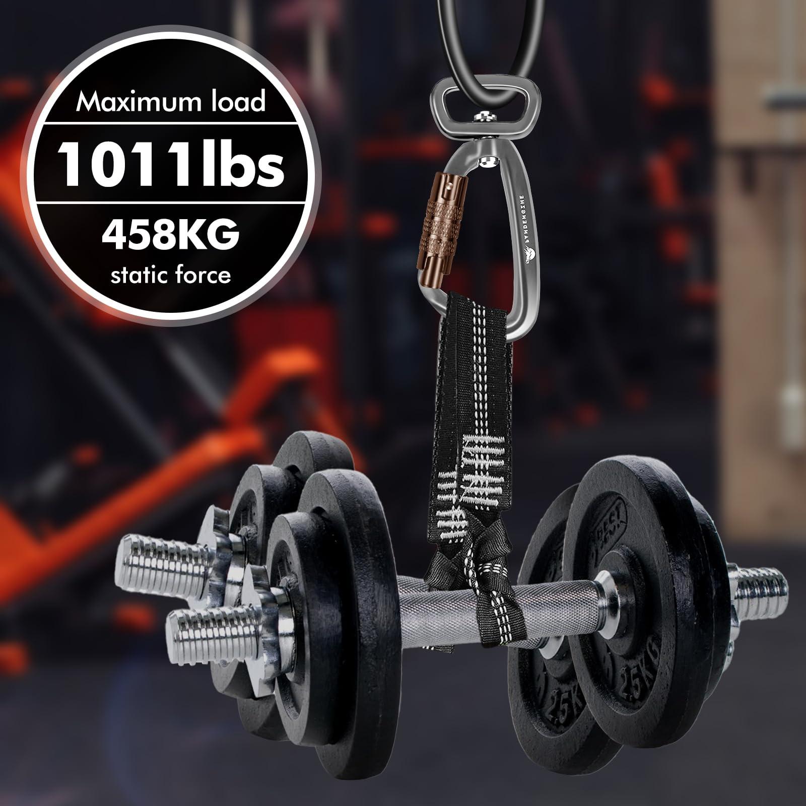 PANDENGZHE PANDENGZHE 2 Pack Locking Carabiner Clip 2.5" with Swivel Ring for Securing Pets, Dog Leash Harness, Camping, Hiking, Keychains