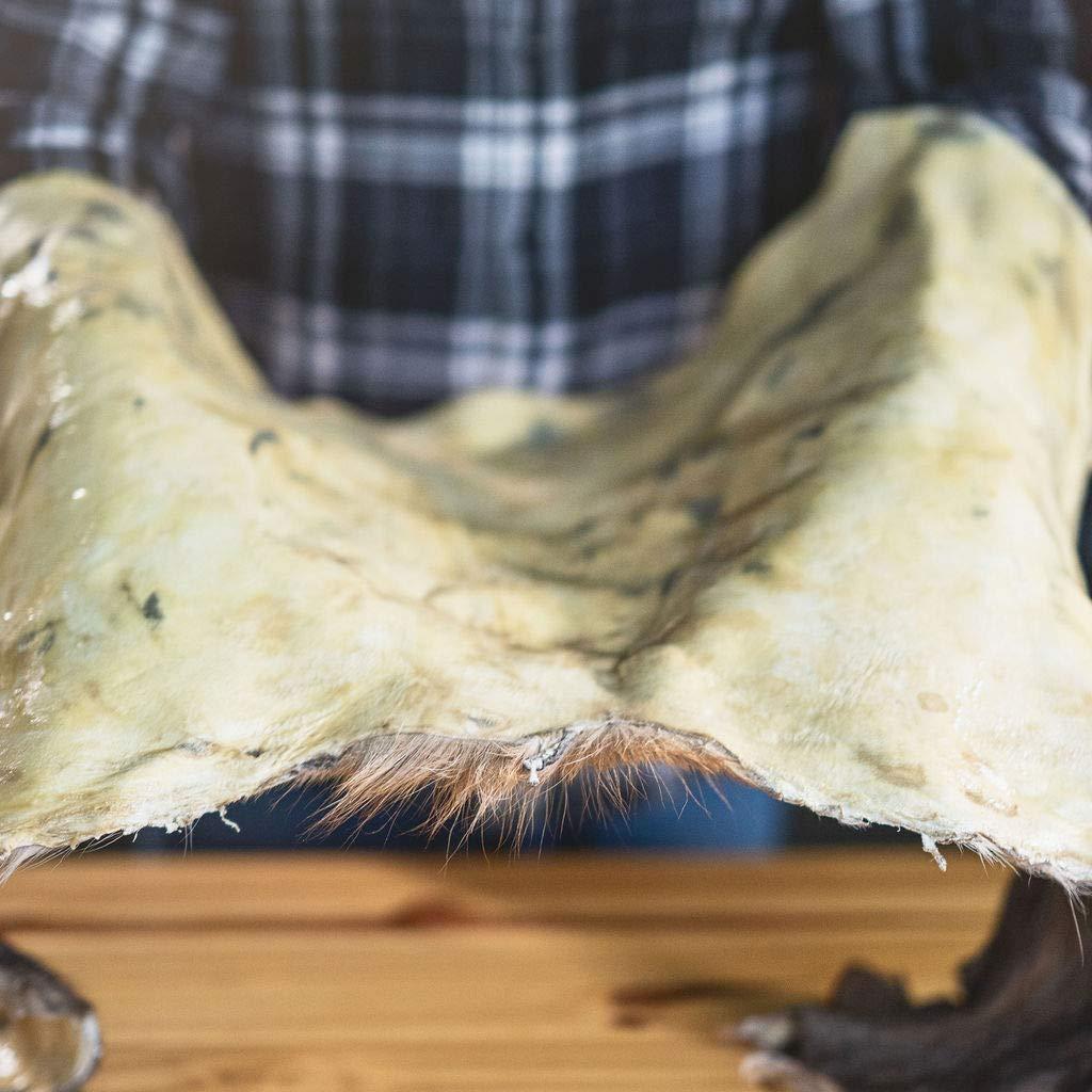 ADVANCED TANNING SOLUTIONS Products for Taxidermy Advanced Tanning Solutions - NuTan 32oz DIY Hide and Fur Tanning Solution - Next Generation At Home Hair-On and Buckskin Tan