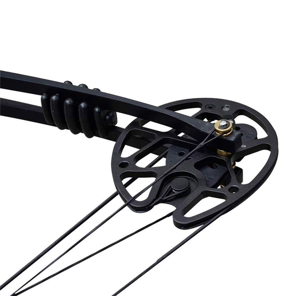 SHARROW SHARROW Archery Compound Bow Kit 30-70lbs Complete Compound Bow Arrow Package Set Adult Hunting Bow with Carbon Arrows 329FPS Right Hand (Black Bow Set)