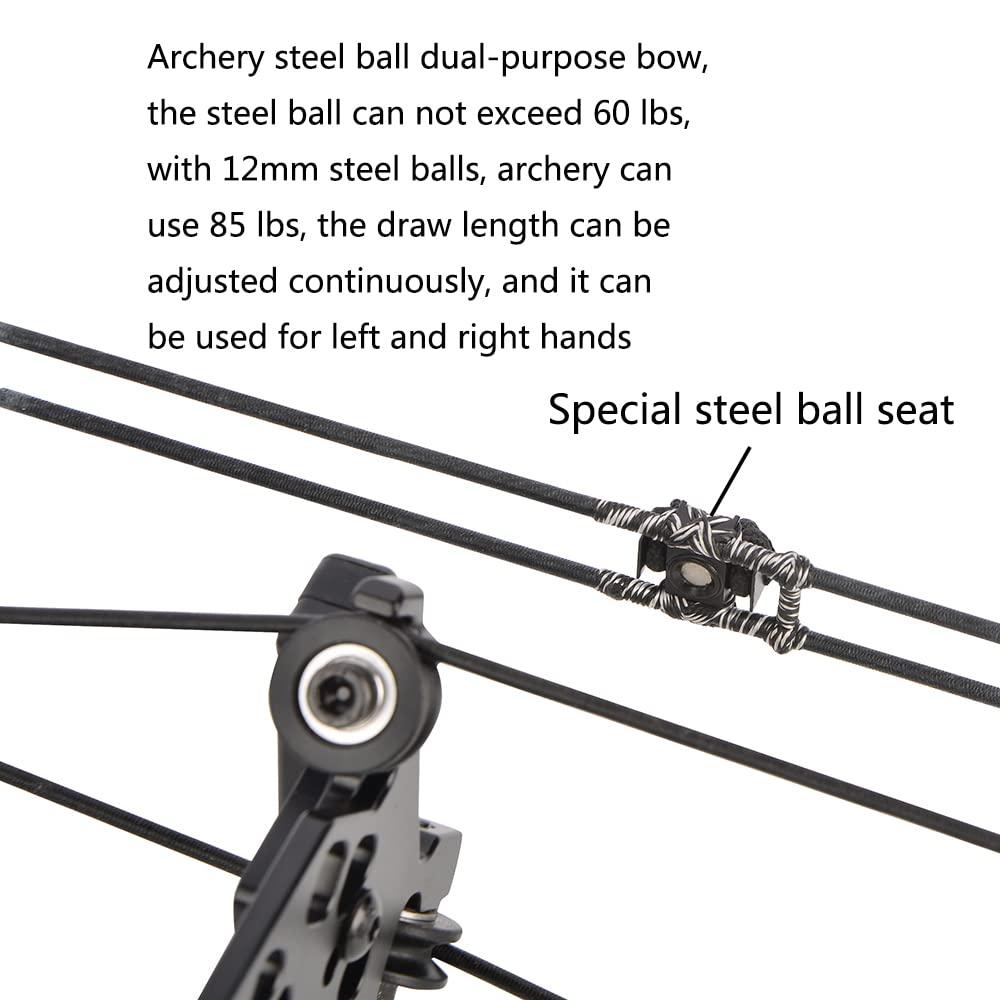 ZSHJGJR ZSHJGJR Archery Steel Ball Compound Bow 24"-28.5" Draw Length Compound Bow for Adult Outdoor Hunting Fishing Left and Right Hands (Silver)