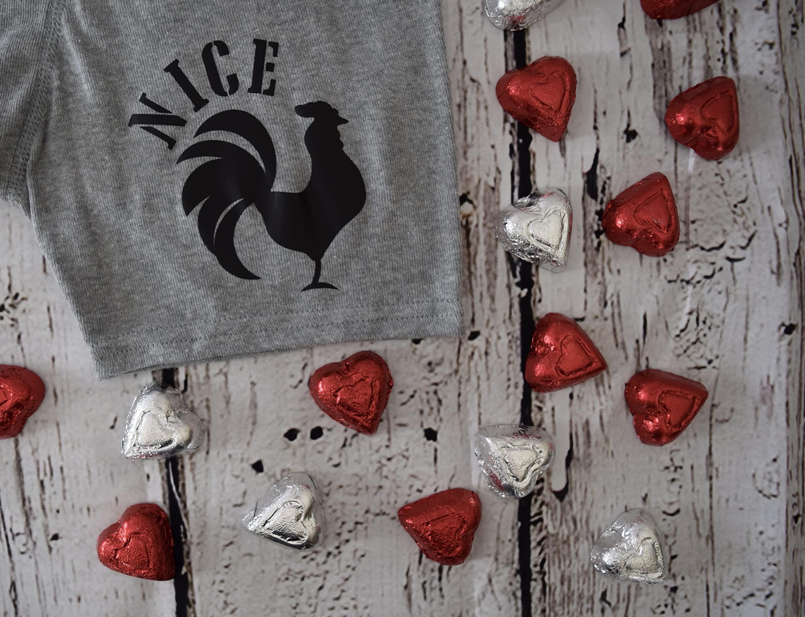 NineFit Basics Nice C*ck Boxer Briefs, Funny Boxer Briefs For Men, ONE PAIR (4X, Black)