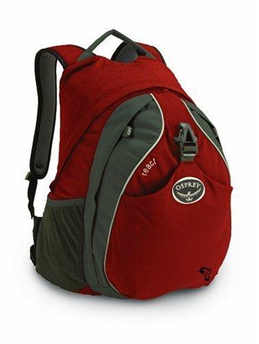 Osprey Packs Osprey Resource React Day Pack (Redwood)