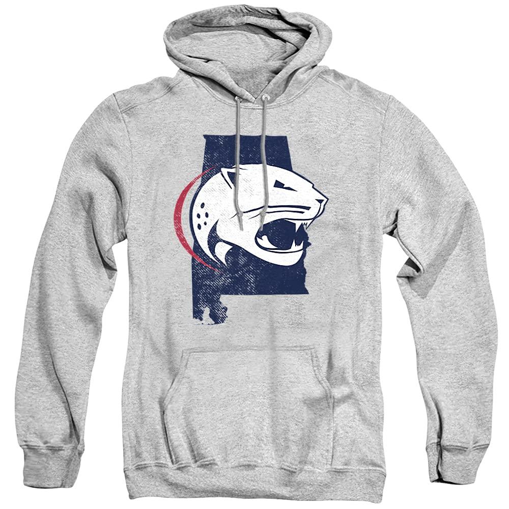 LOGOVISION Oakland University Golden Grizzlies Blanket, 36\"x58\", Primary Logo Stripes, Silky Touch Super Soft Throw