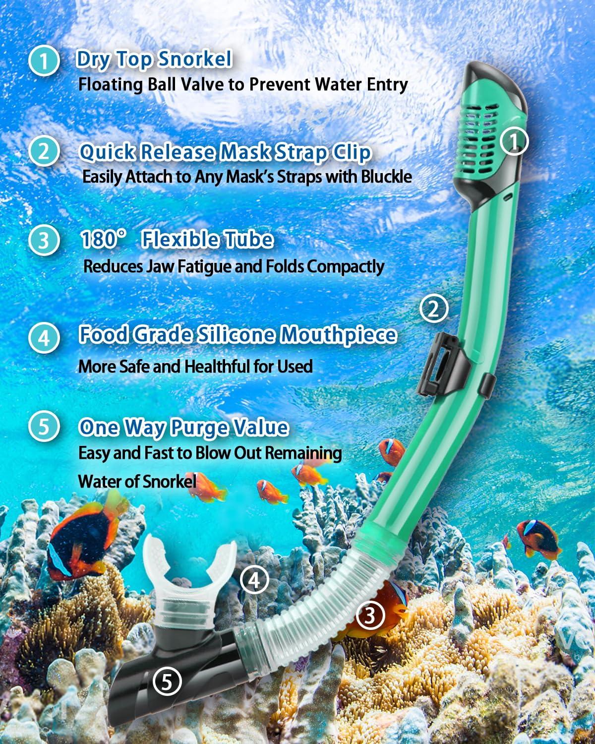 PIYAZI PIYAZI Snorkeling Gear for Adults Kids, Dry Snorkeling Set, Panoramic Anti-Leak and Anti-Fog Tempered Glass Lens, Adjustable Strap Snorkel Set with Mesh Bag Ear Plug for Snorkeling Scuba Diving Travel