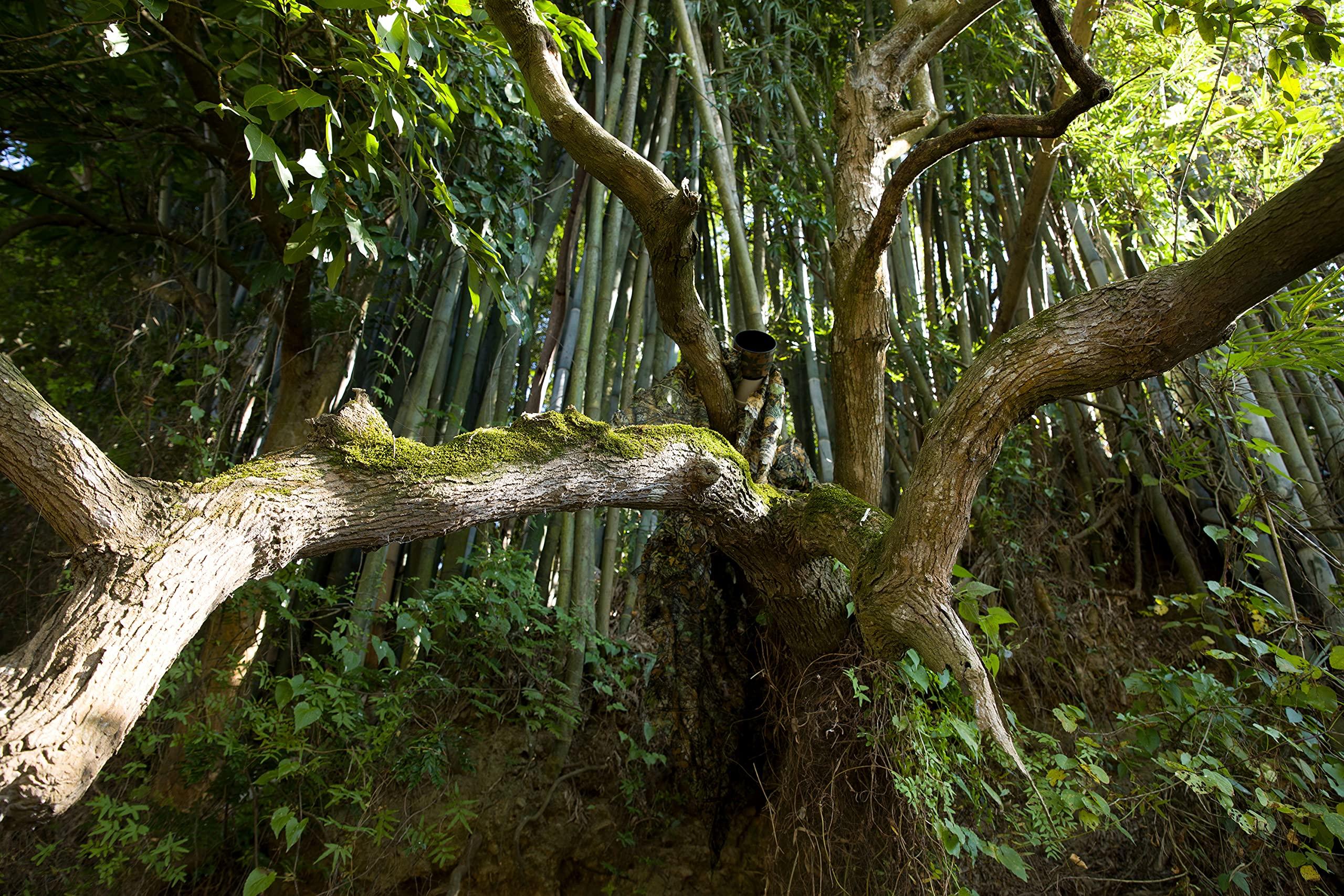 Ginsco Ginsco 3D Leafy Camo Poncho Camoflage Woodland Cape Lightweight Ghillie Suit for Men, Ghillie Hood for Turkey Hunting Bird Watching Military Training Outdoor Airsoft Wildlife Photography Halloween