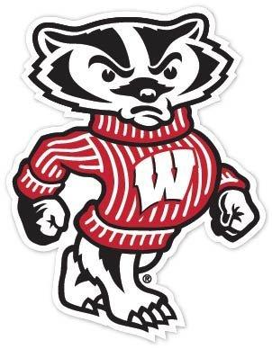 Badgers Wisconsin Badgers NCAA Vinyl Sticker Decal 9"x12" Cornhole Car Truck Bumper