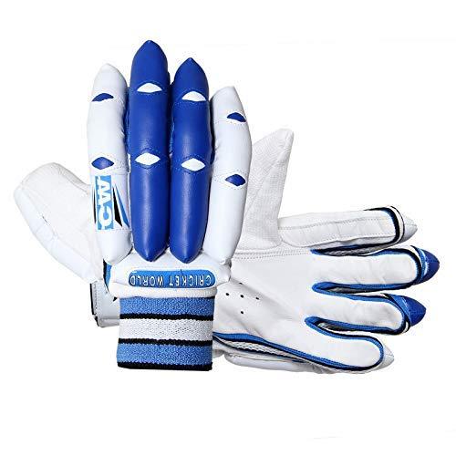 CW CW Trainer Red Blue Wooden Cricket kit for All Age Groups Kashmir Willow Cricket Bat Size 3-6 Cricket Glove Kit for Boys - Senior Men Full Size Left & Right Hand Kit (3 for 5-7 Yr, Right Red)