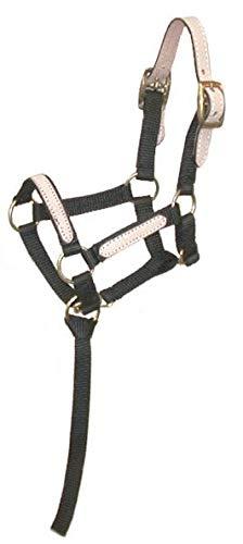 Tough 1 Tough 1 Miniature Nylon Break-Away Halter, Black, Large N