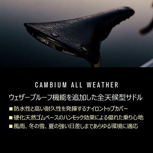 ?????(Brooks) Brooks, Cambium, All Weather C17 Bicycle Saddle