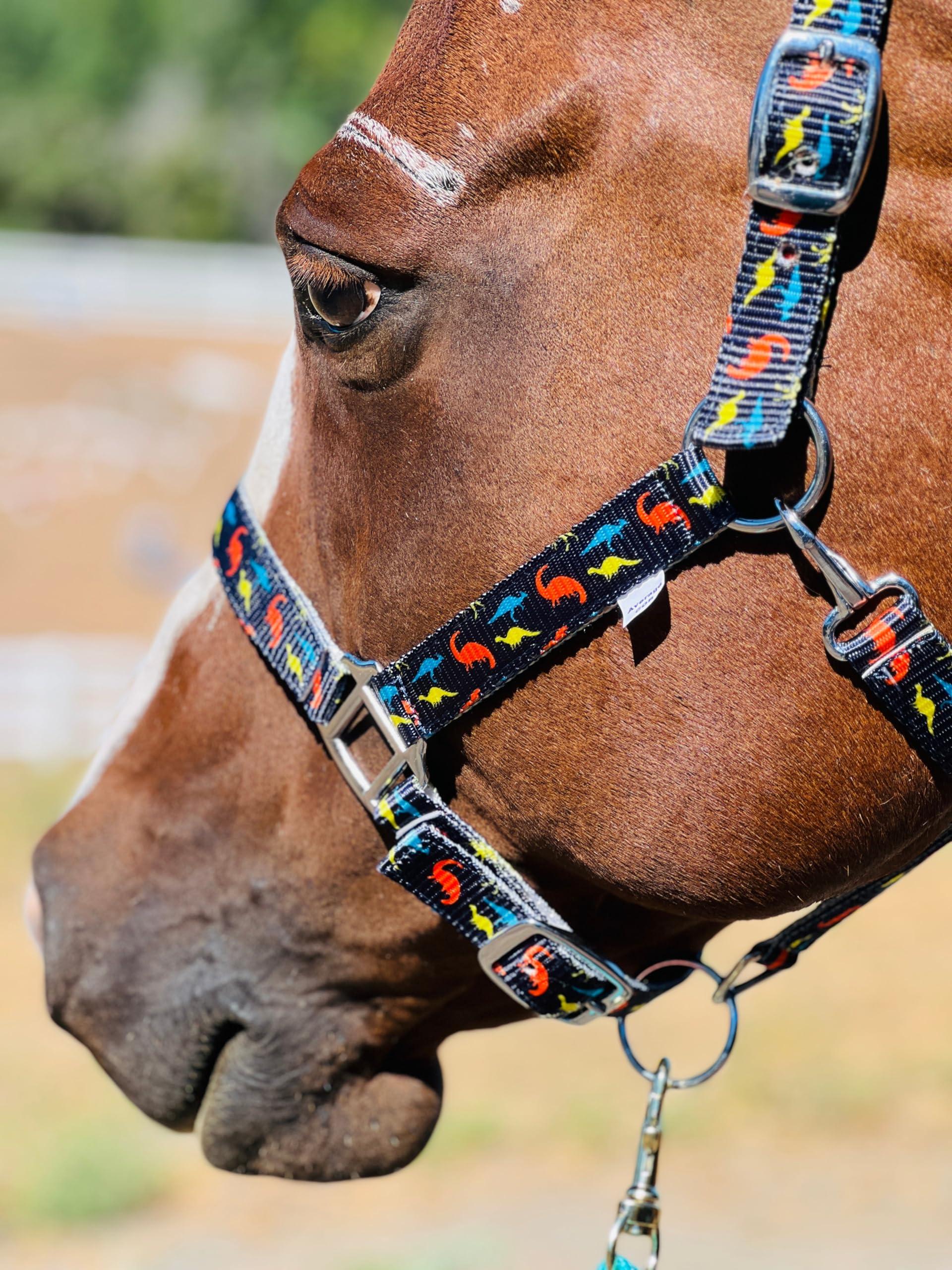 Star Point Horsemanship Star Point Horsemanship Mini-Pony Dinosaur Halter Nylon Horse Training Halter Stiff Cord Adjustable Long Lasting Quick Release Buckle Used by Famous Trainers (Average Horse Size)