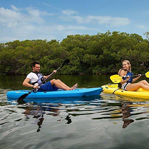 Lifetime Lifetime Lotus Sit-On-Top Kayak with Paddle (2 Pack), Blue, 8'