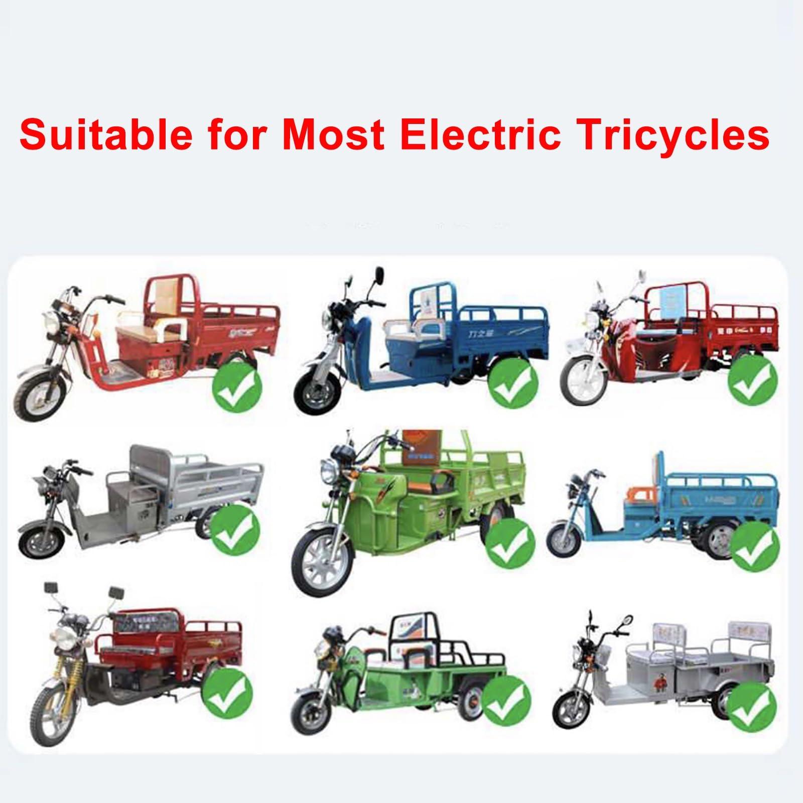 WYHBXD WYHBXD 3 Wheels e-Trikes Awning, Electric Tricycle Cover, SANBENGZI Electric Cargo Tricycle Tarpaulin for Delivery Electric Trike (Color : Light Blue)