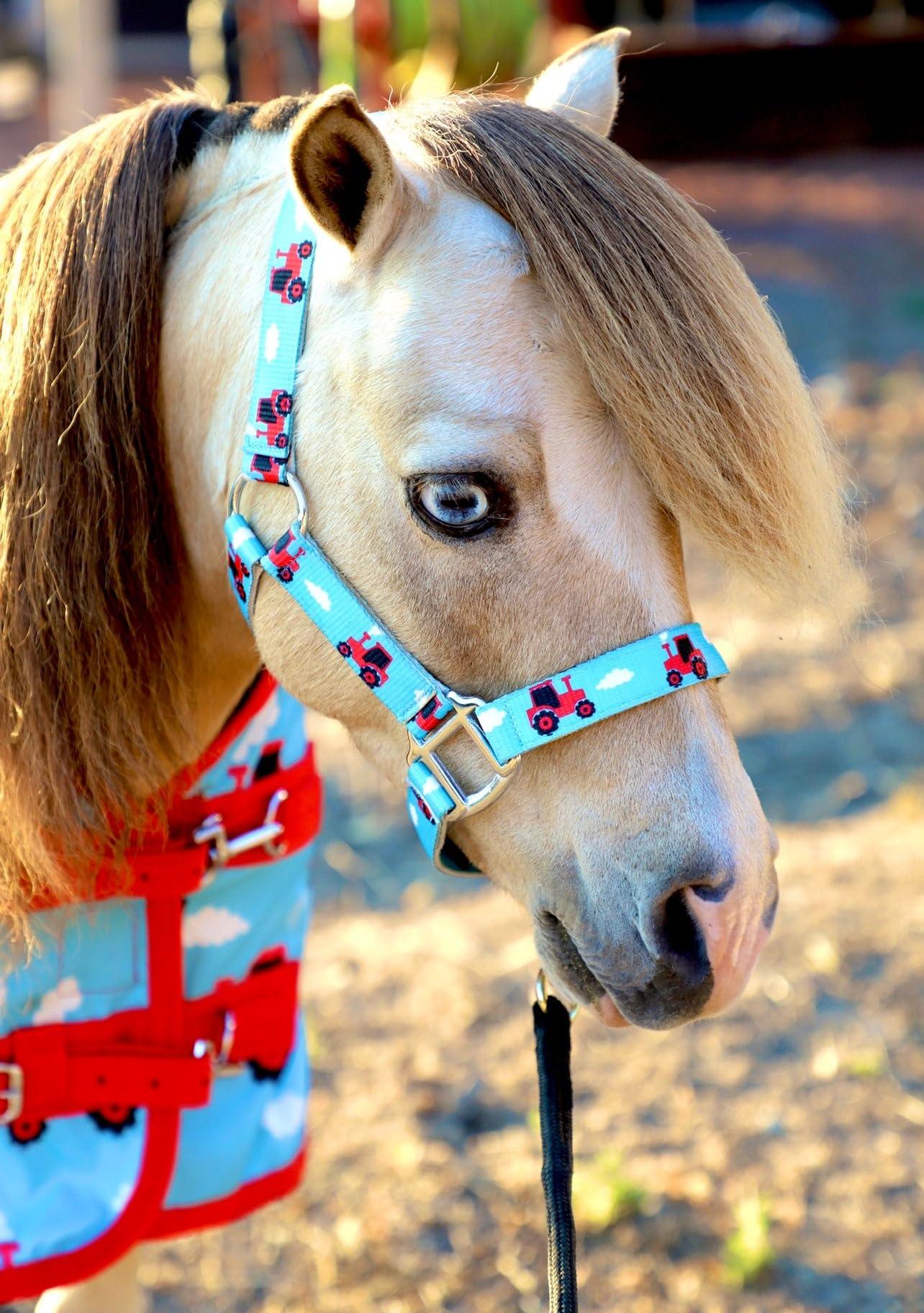 Star Point Horsemanship Star Point Horsemanship Mini-Pony Dinosaur Halter Nylon Horse Training Halter Stiff Cord Adjustable Long Lasting Quick Release Buckle Used by Famous Trainers (Average Horse Size)