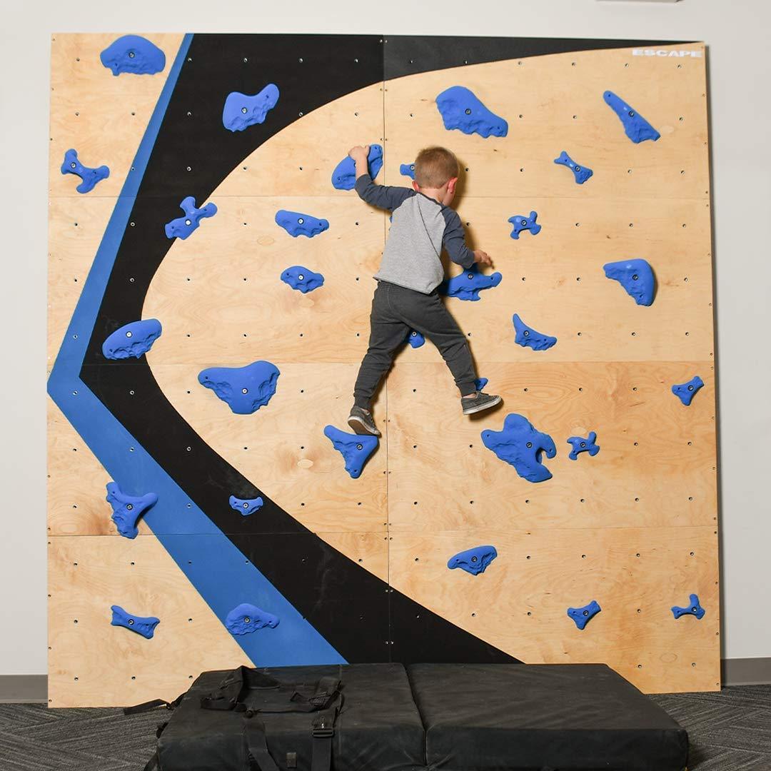 Escape Climbing Escape Climbing 100 Pack Screw-in T-Nuts | Durable Steel Hardware for Rock Climbing Holds | Easy Installation with Screws Included