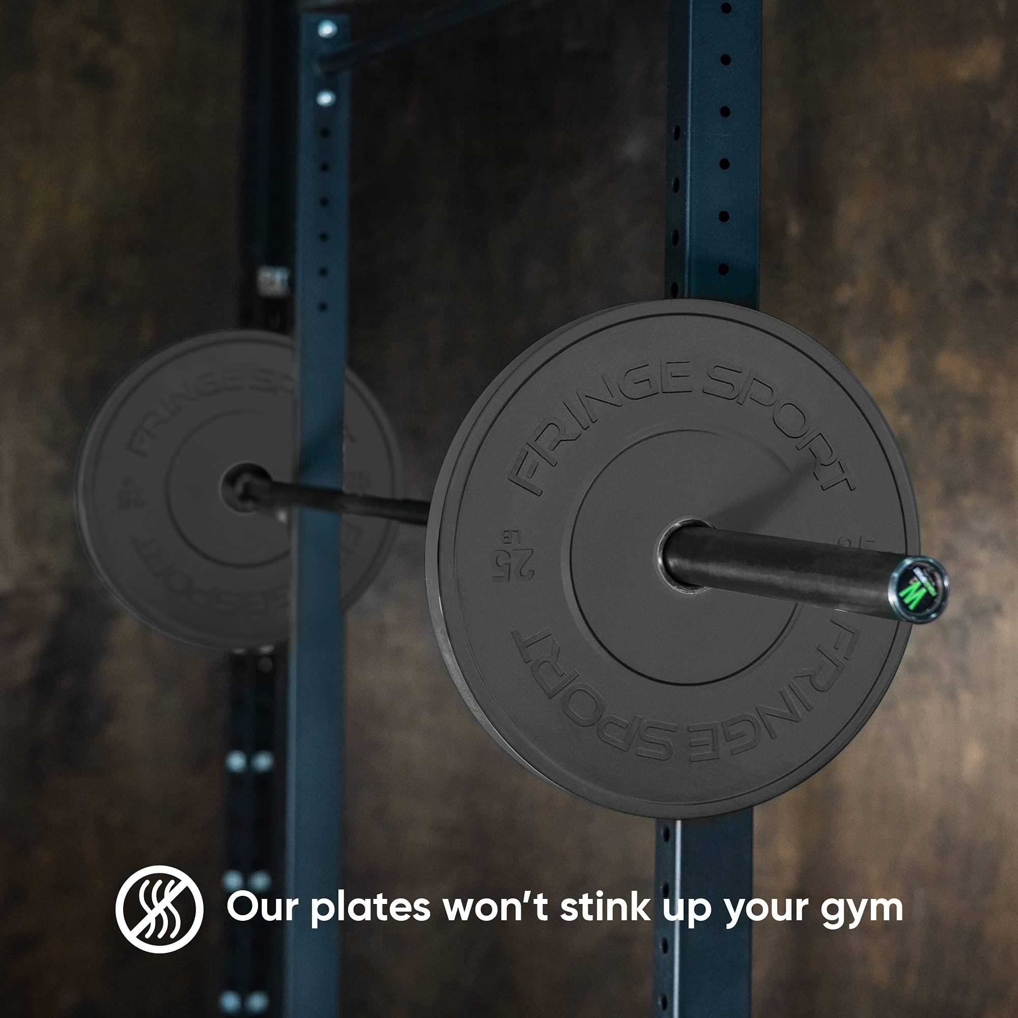 FringeSport Fringe Sport MILSPEC Bumper Plates Pair, 10lb - 55lb Black Rubber Weight Plates for 2\" Barbells, Low Odor Low Noise Olympic Bumper Plates for Intense Strength Training and Weight Lifting Sessions