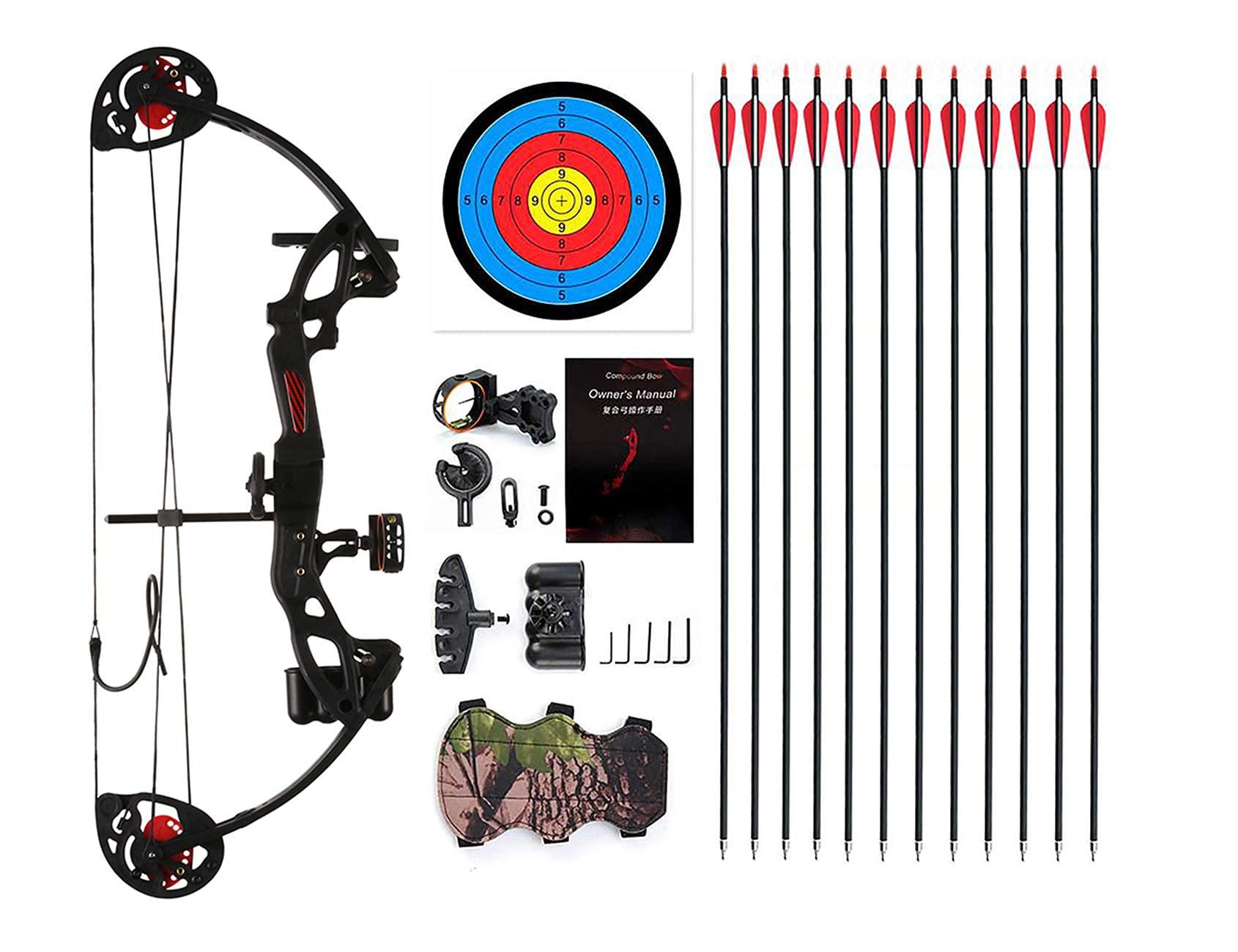 PANDARUS PANDARUS Compound Bow Archery for Youth and Beginner, Right Handed,19-28 Draw Length,15-29 Lbs Draw Weight, 260 fps (Black Right Handed)