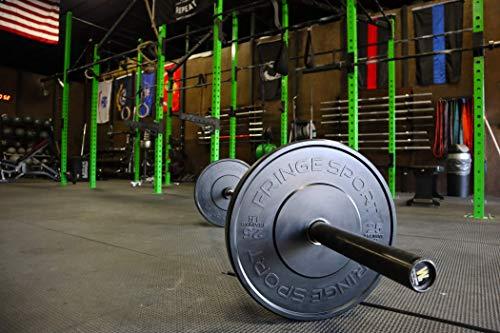 OneFitWonder OneFitWonder OFW Bumper Plates - 25lb (Pair)