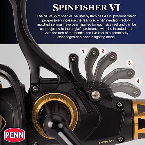 PENN PENN Spinfisher VI Live Liner Spinning Inshore Fishing Reel, HT-100 Front Drag, Max of 20lb | 9.0kg, Built with Carbon Fiber Washers, 4500, Black Gold