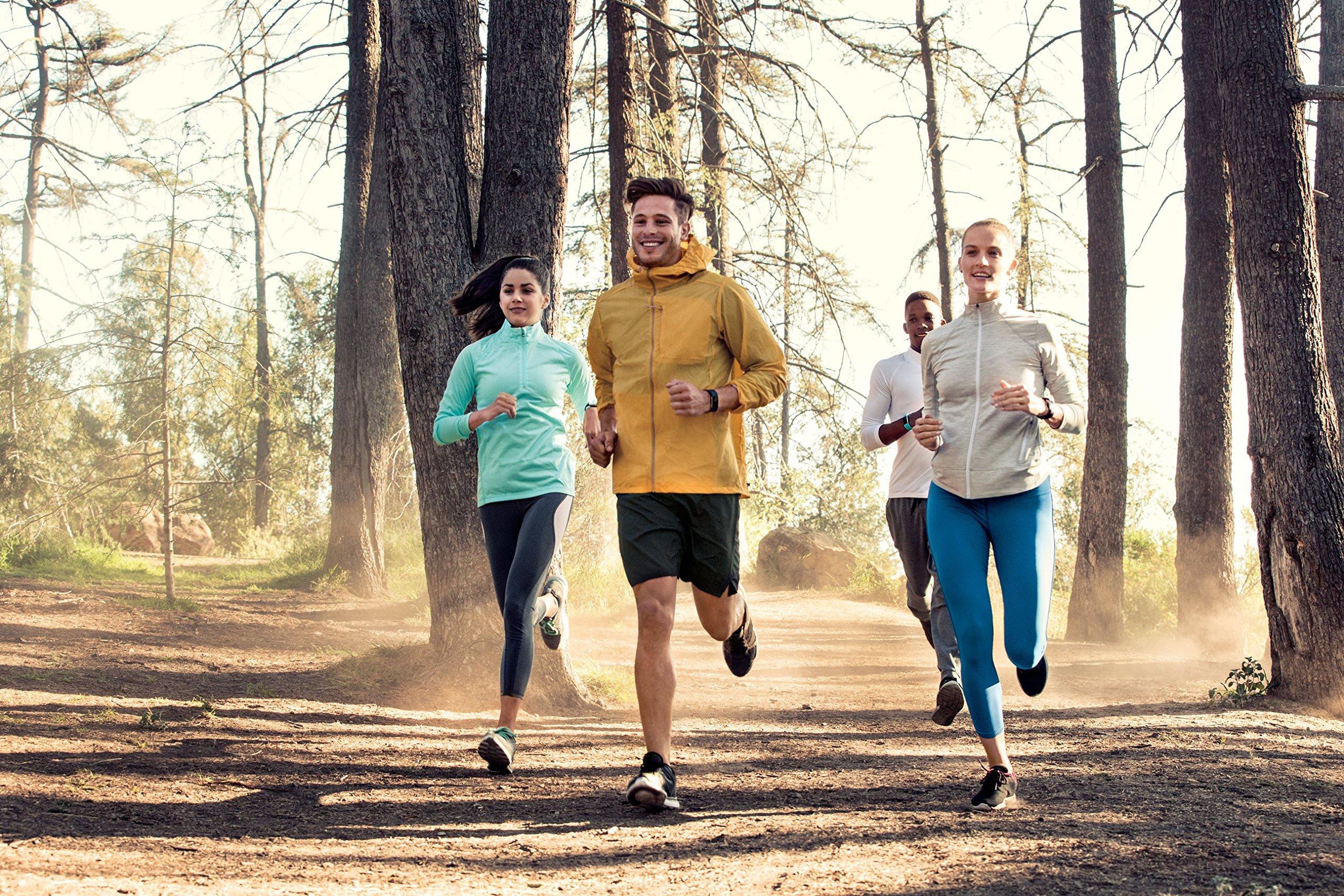 Fitbit Fitbit Charge 2 Heart Rate + Fitness Wristband, Black, Large (US Version), 1 Count