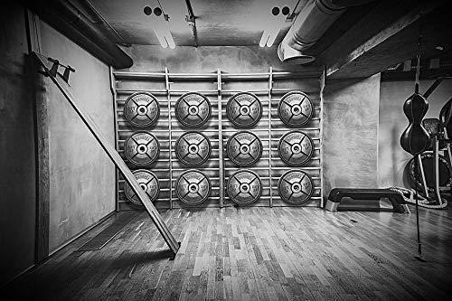 Fake Weights Fake Weights Fake Not 45lb Weight Plates Styrofoam Olympic Style 45 lb Barbell Pair Prop Marketing Barbell Bar Not Included