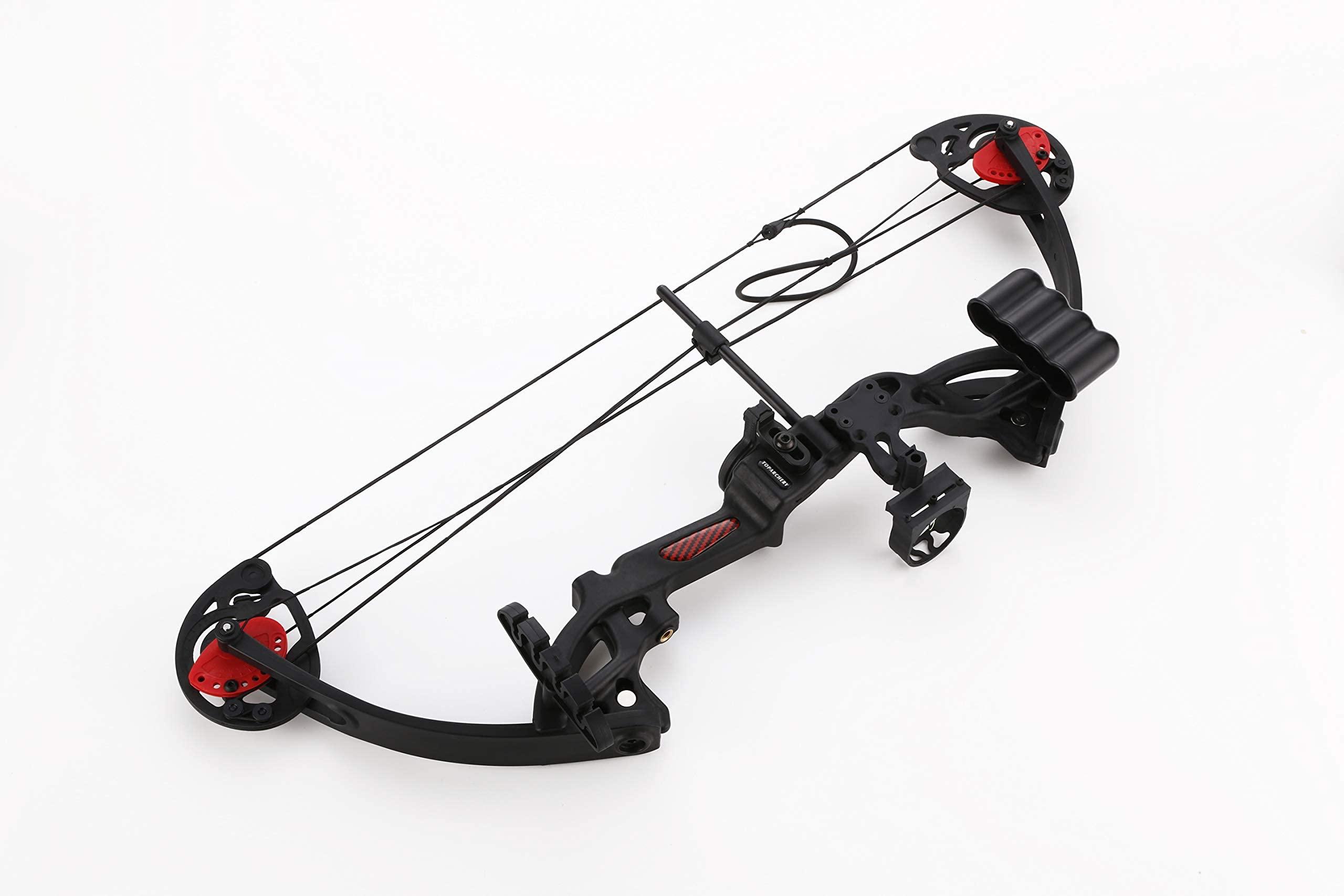 PANDARUS PANDARUS Compound Bow Archery for Youth and Beginner, Right Handed,19-28 Draw Length,15-29 Lbs Draw Weight, 260 fps (Black Right Handed)