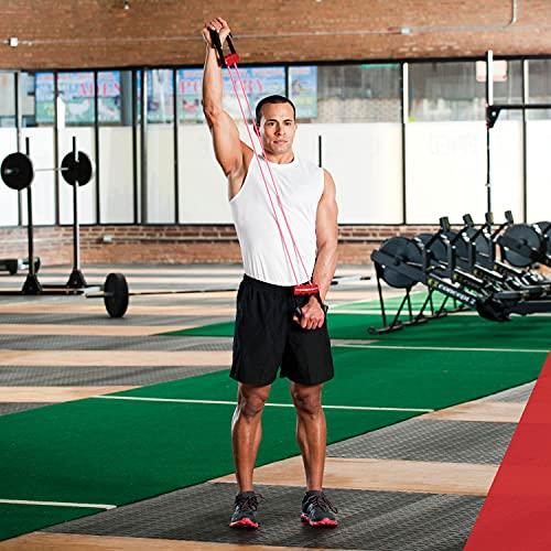 Lifeline Lifeline Chest Expander , Pink