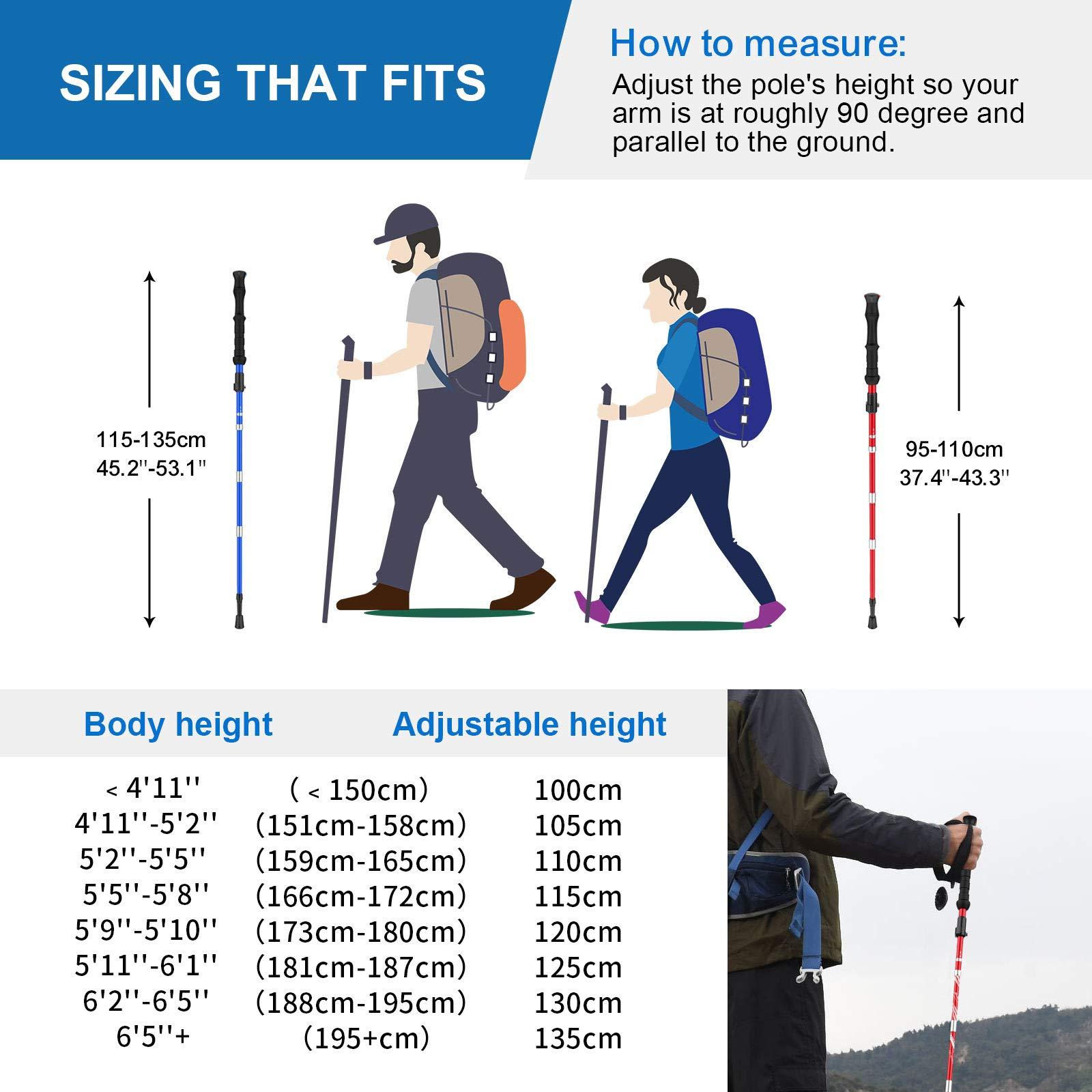 BISINNA BISINNA Collapsible Trekking Hiking Poles- 2 Pack Folding Aluminum Walking Sticks with Quick Lock System 4 Season Accessories,Telescopic, Adjustable, Lightweight for Men Women