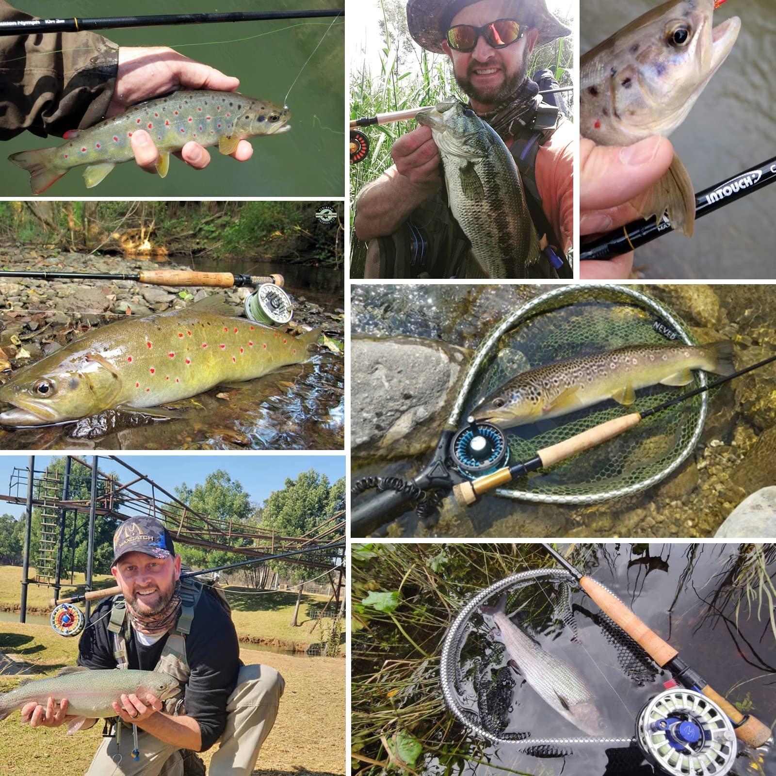 M MAXIMUMCATCH Maxcatch Competition InTouch Nymph Fly Rod for Euro nymphing Fly Fishing (10ft 2wt 4sec)